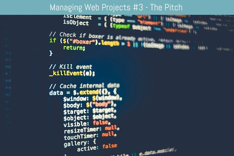 Managing Web Projects #3 - The Pitch