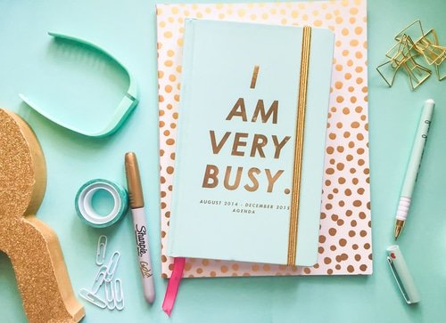 I Am Very Busy Notebook