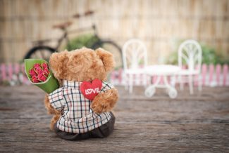 Tedy bear holding roses and heart