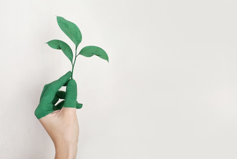 How To Make Your Company More Eco-Friendly