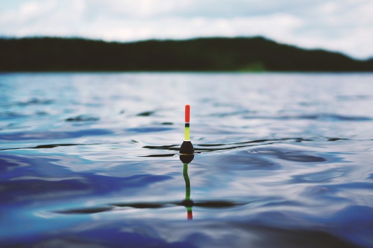 Phishing: What Is It And How To Avoid Being Scammed