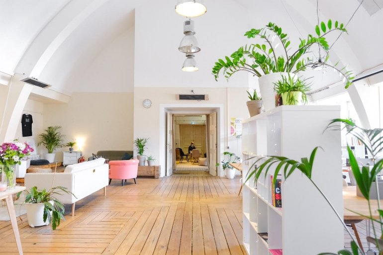 Room filled with plants