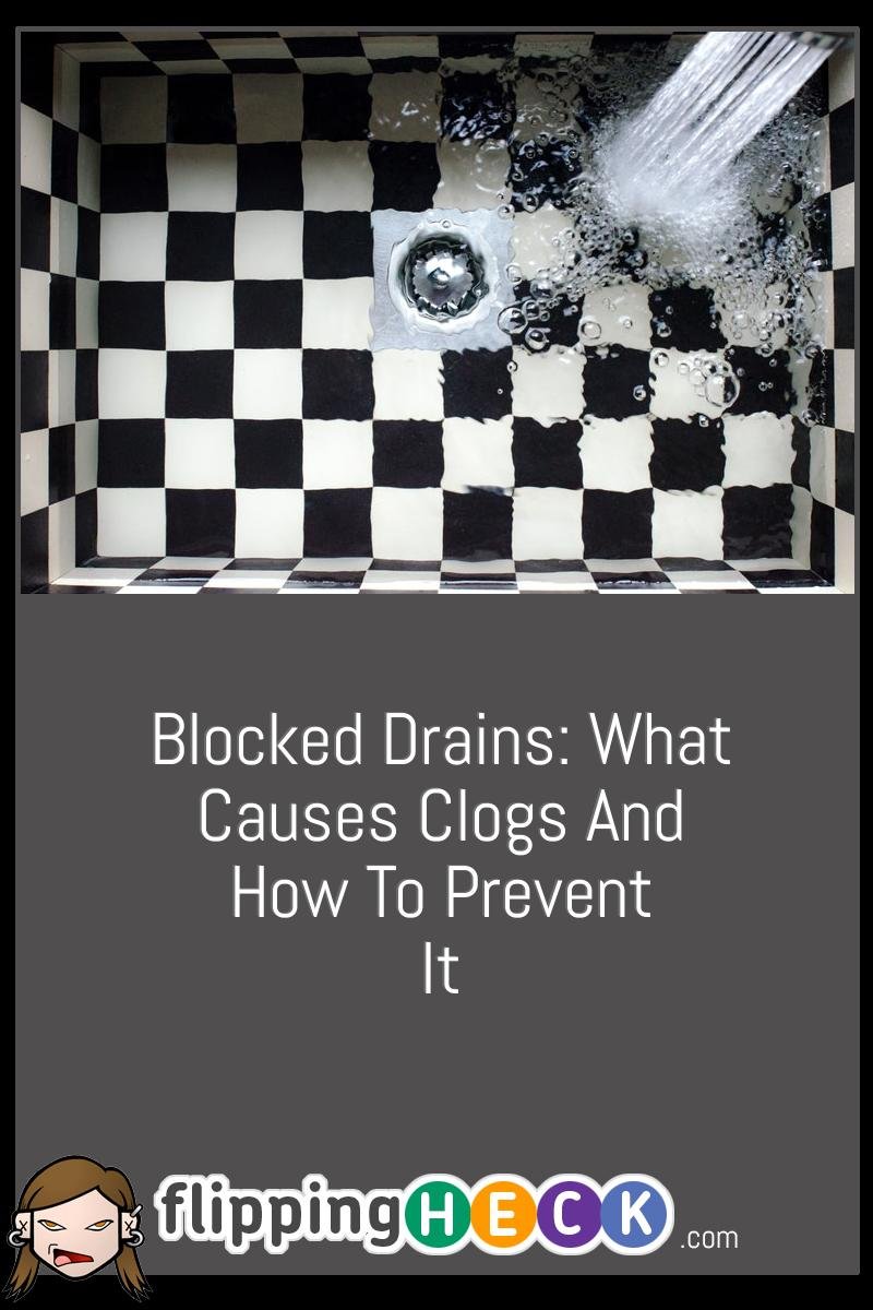 Blocked Drains: What Causes Clogs And How To Prevent It