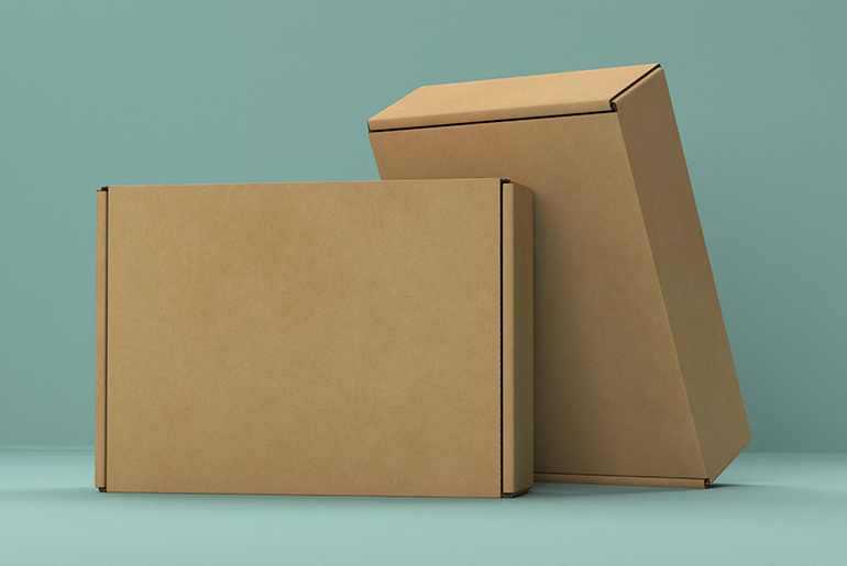 Two brown cardboard boxes