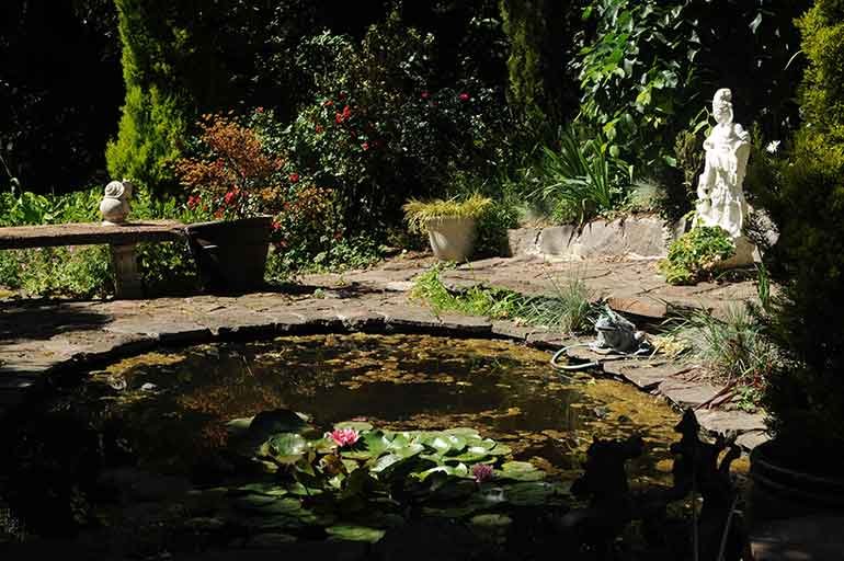 How Creating A Backyard Pond Can Increase Your Property Value