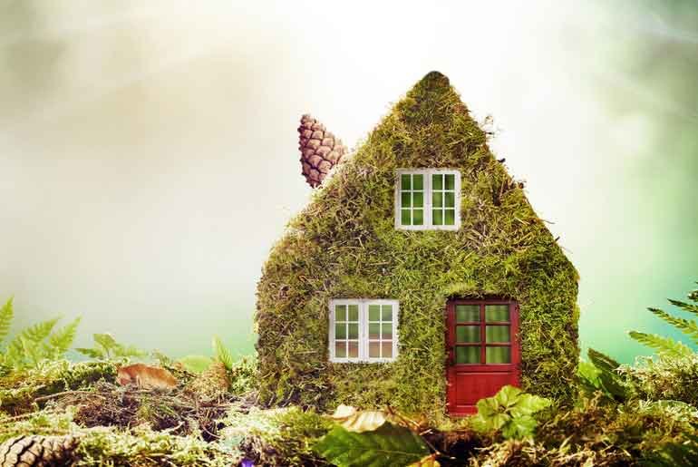 6 Key Elements Of An Eco-Friendly Home