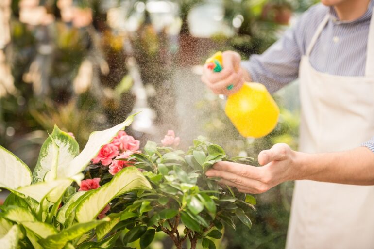 Gardener spraying flowering plants