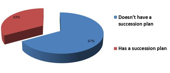 How many businesses have a succession plan pie chart