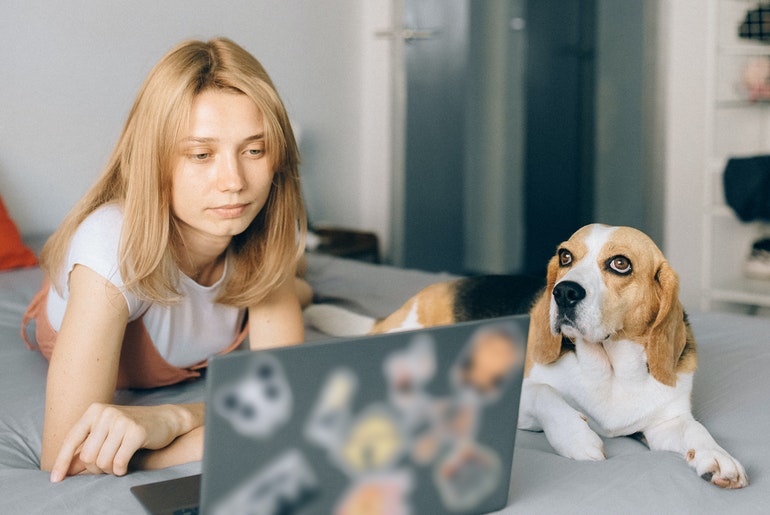Woman working on a laptop on her bed with a dog by her side