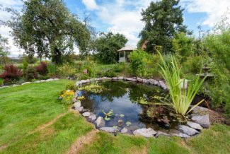 Garden pond surrounded by rocks with a fountain and summer house