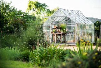 Greenhouse with benches and plants in a vibrant green garden