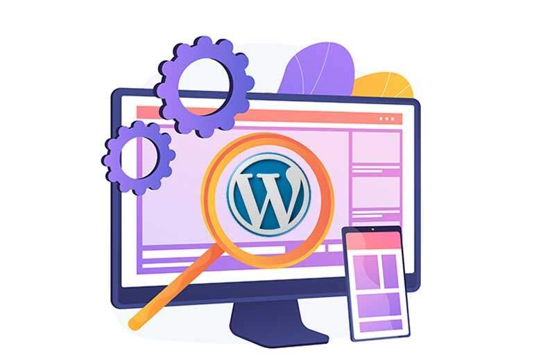Different Types Of WordPress Customization