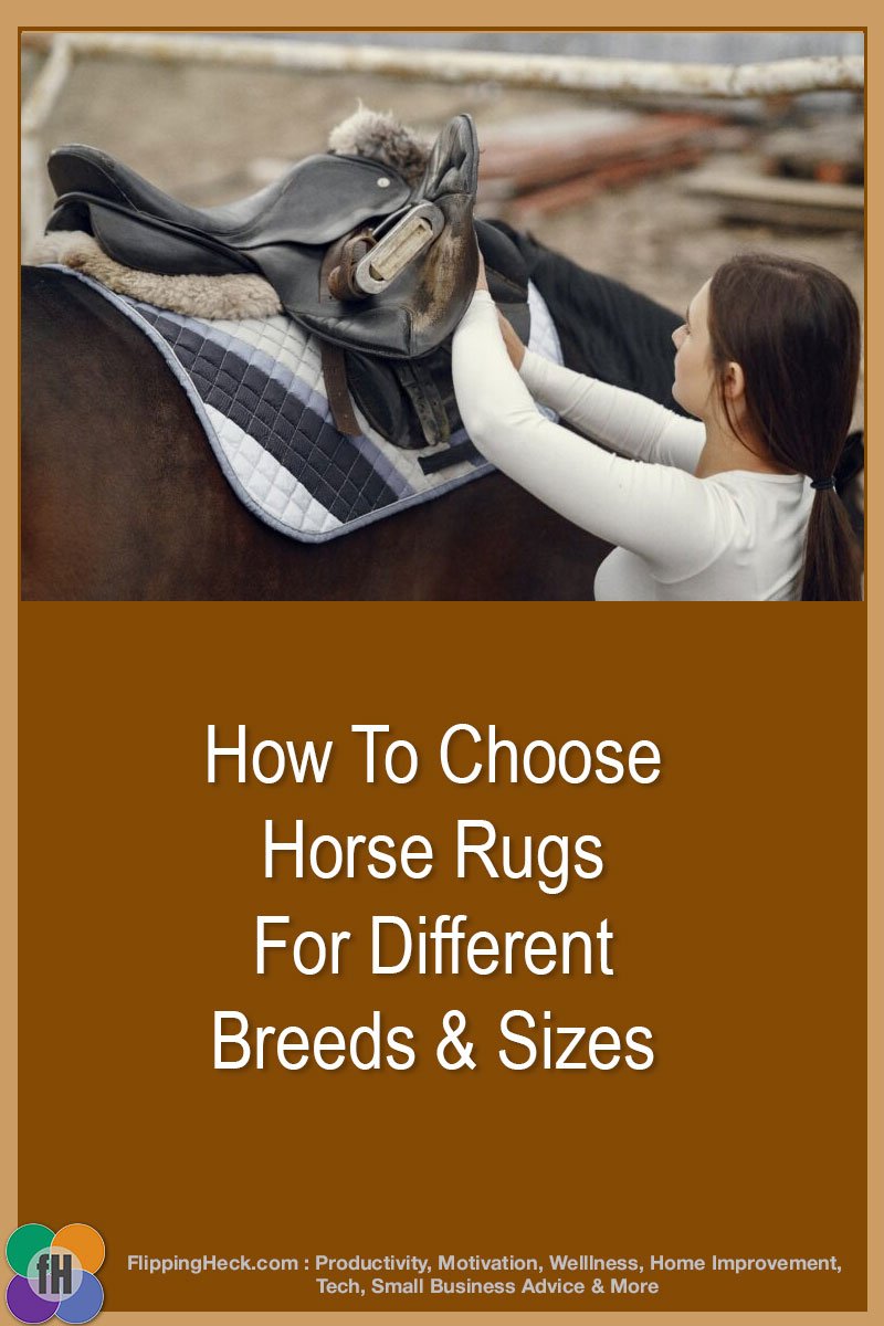 How To Choose Horse Rugs For Different Breeds & Sizes – Flipping Heck!